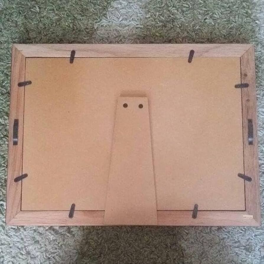 Amazon.co.jp: チーバくん 2010 千葉国体 ピンバッチ